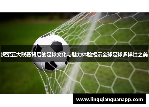 探索五大联赛背后的足球文化与魅力体验揭示全球足球多样性之美